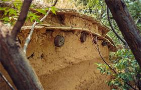 48